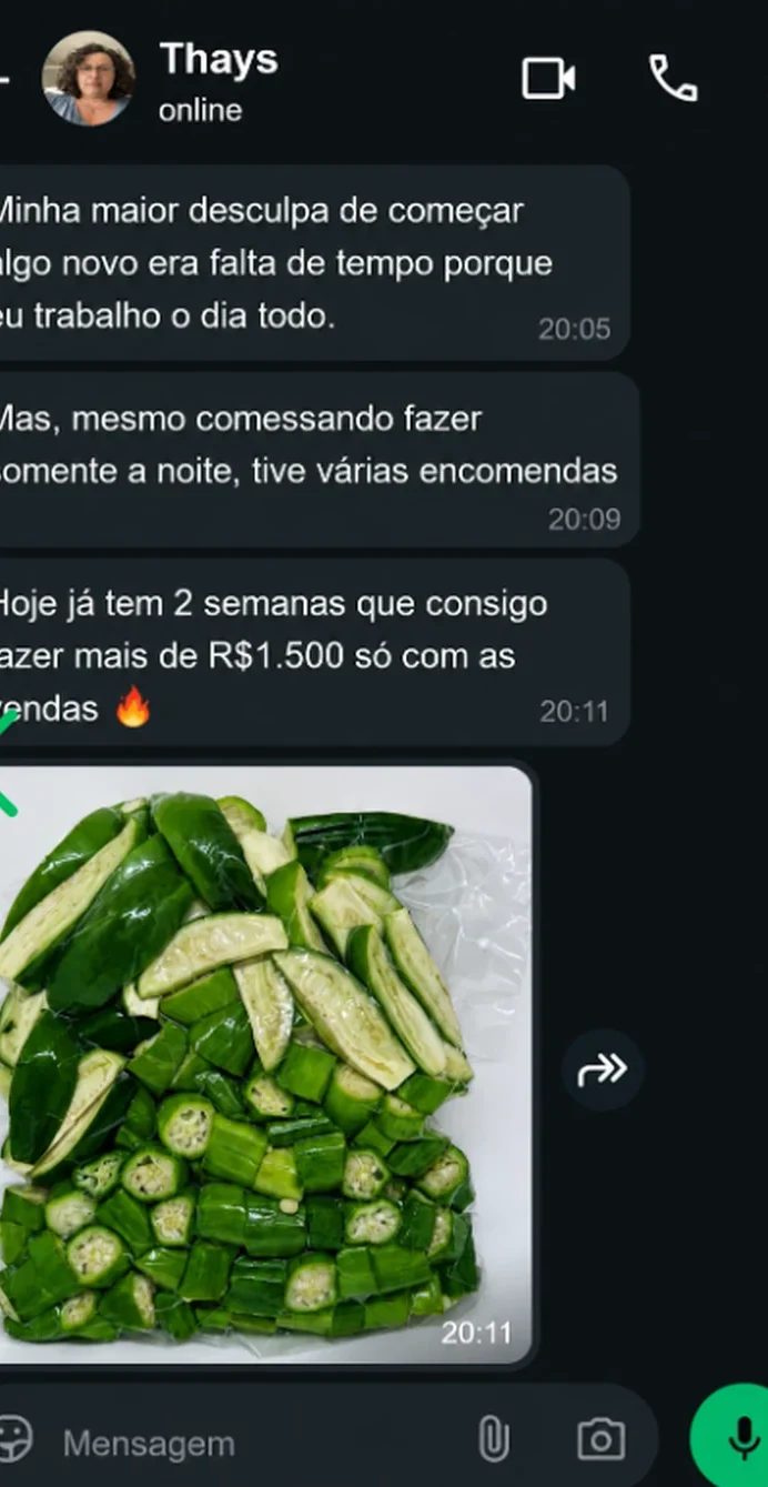 Print de conversa no WhatsApp — Thays